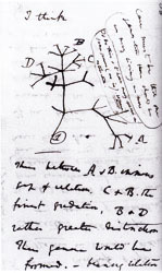 Una página de los cuadernos de Darwin