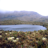 Laguna en el Macizo Colombiano (Fotografía: inyucho)