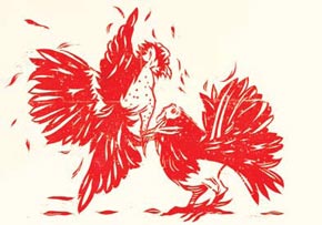 Pelea de gallos / Edwin Sánchez