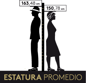 estatura promedio 1923-1930