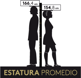 estatura promedio 1951-1973