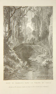 Precipitous descent of a Cordillera of the Andes in the Province of Chocó