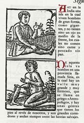 Manatí, Francisco Hernández.