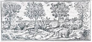 Tabaco, Códice Pomar.