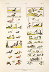 Códice Florentino o Historia de las cosas de Nueva España