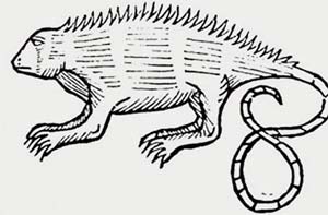 Iguana en Gonzalo Fernández de Oviedo.