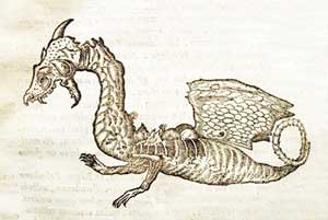 Dragón, Francisco Hernández