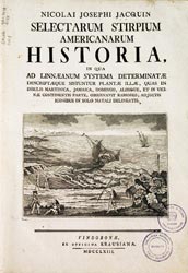 Varias especies, Selectarum stirpium americanarum historia