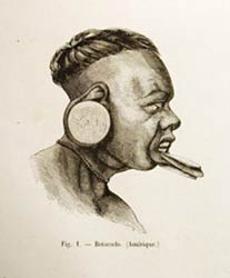 Serie de tipos humanos en América