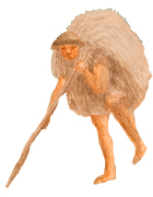 Peón con carga de quina