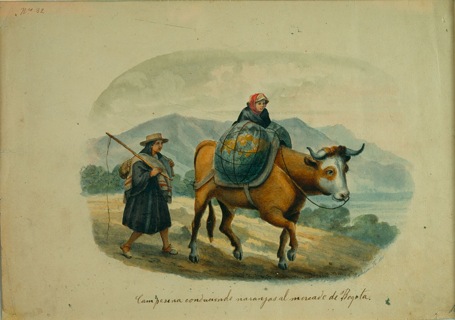 Campesinas conduciendo naranjas al mercado de Bogotá