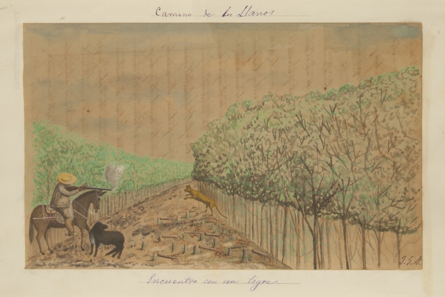 Encuentro con un tigre