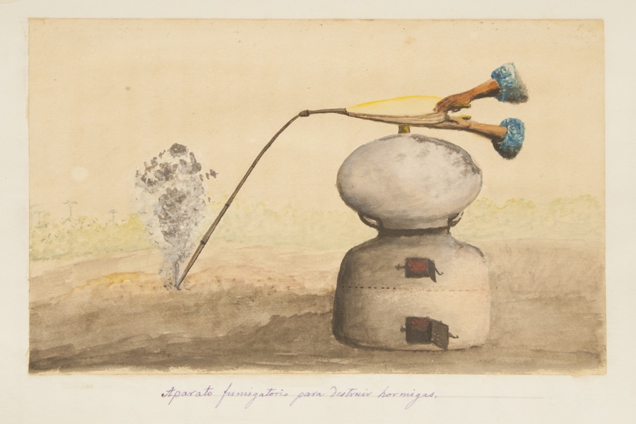 Aparato fumigatorio para destruir hormigas