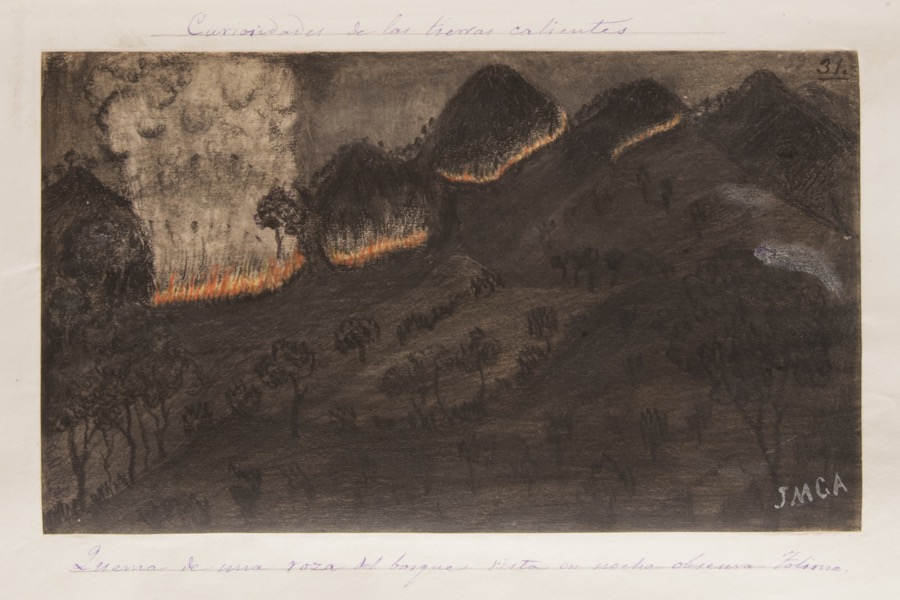 Quema de una roza del bosque vista en noche oscura. Tolima