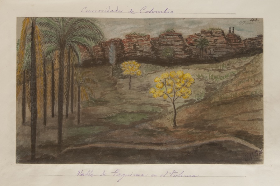 Valle de Taquima en el Tolima