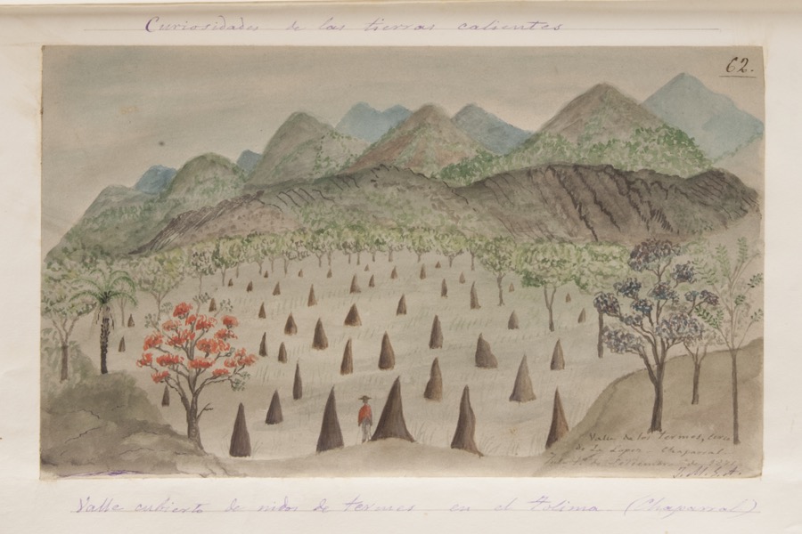 Valle cubierto de nidos de termes en el Tolima 