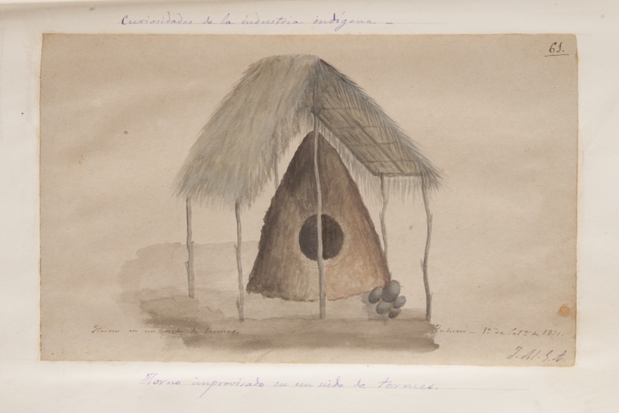 Horno improvisado en un nido de termes