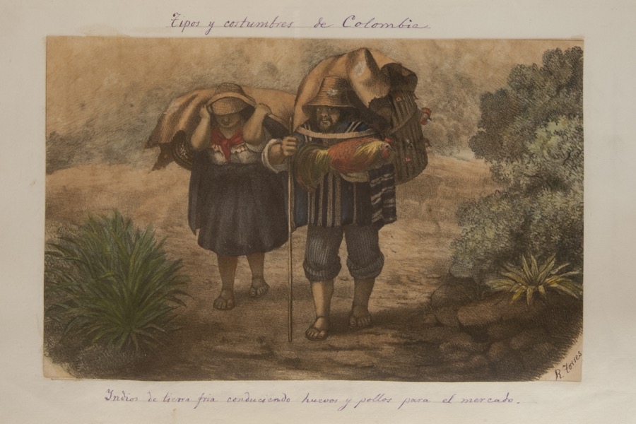 Indios de tierra fría conduciendo huevos y pollos para el mercado