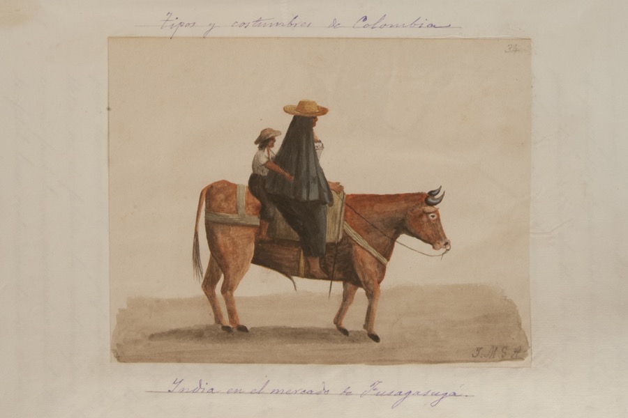 India en el mercado de Fusagasugá