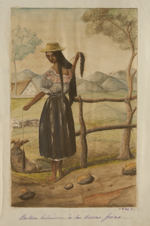 Pastora hilandera de las tierras frías