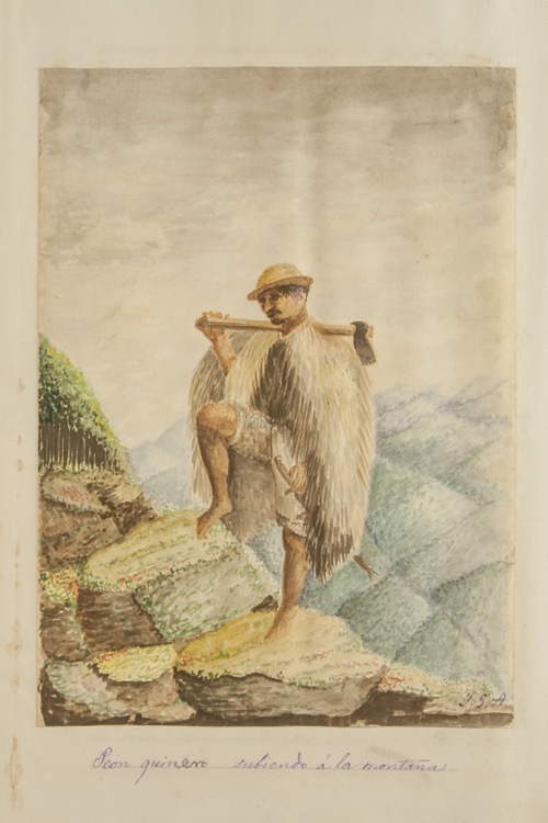 Peón quinero subiendo la montaña