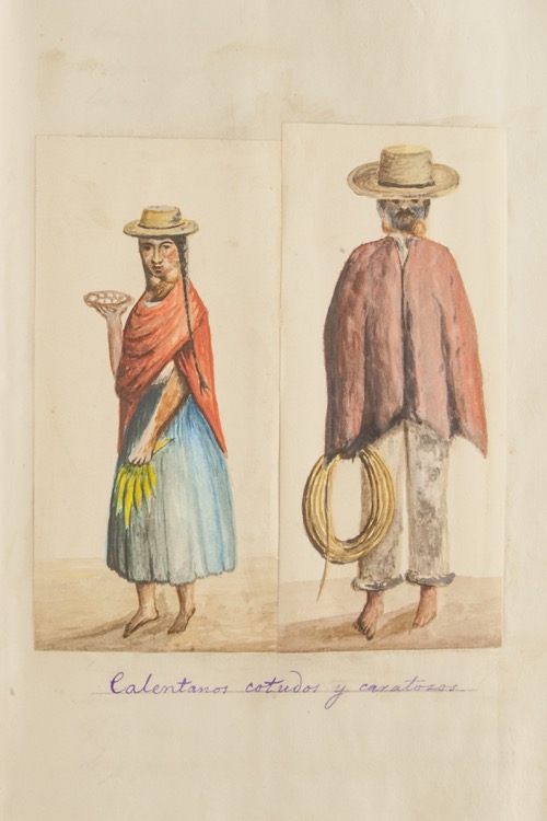 Calentanos cotudos y caratosos