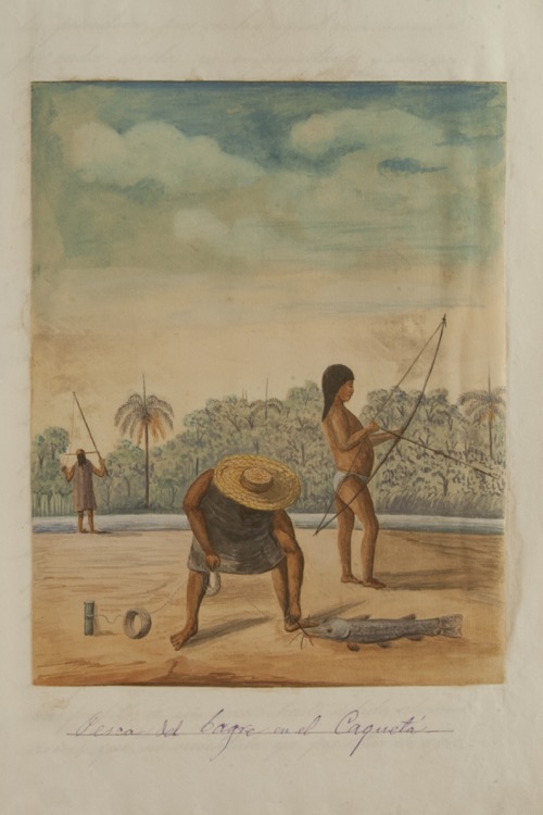 Pesca del bagre en el Caquetá