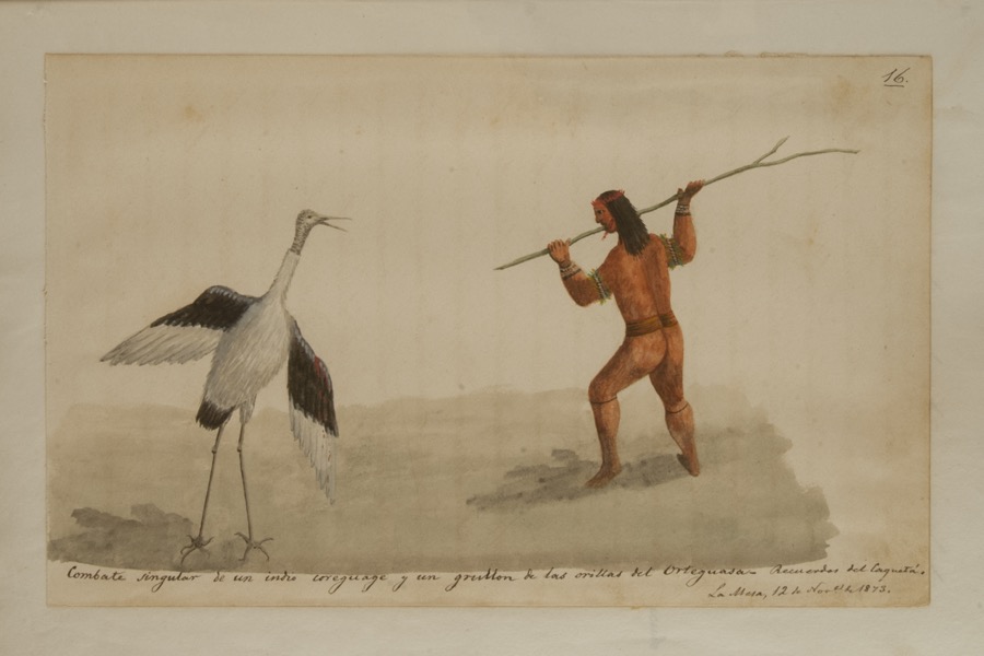 Combate singular de un indio coreguaje y un grullón de las orillas del Orteguaza