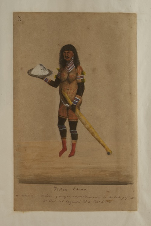 India tama con sabucán