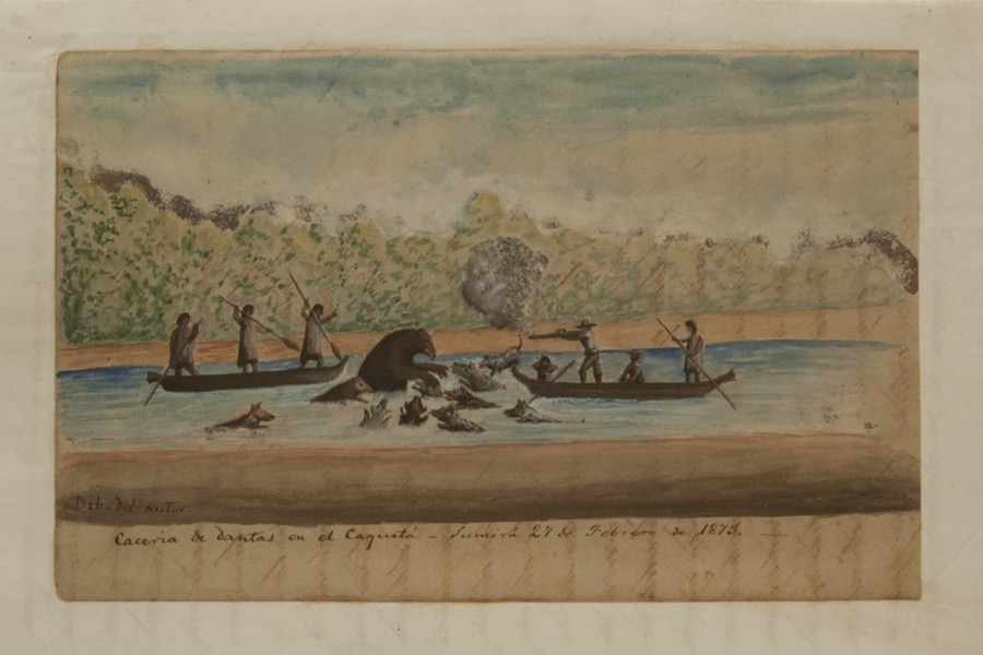 Cacería de dantas en el Caquetá