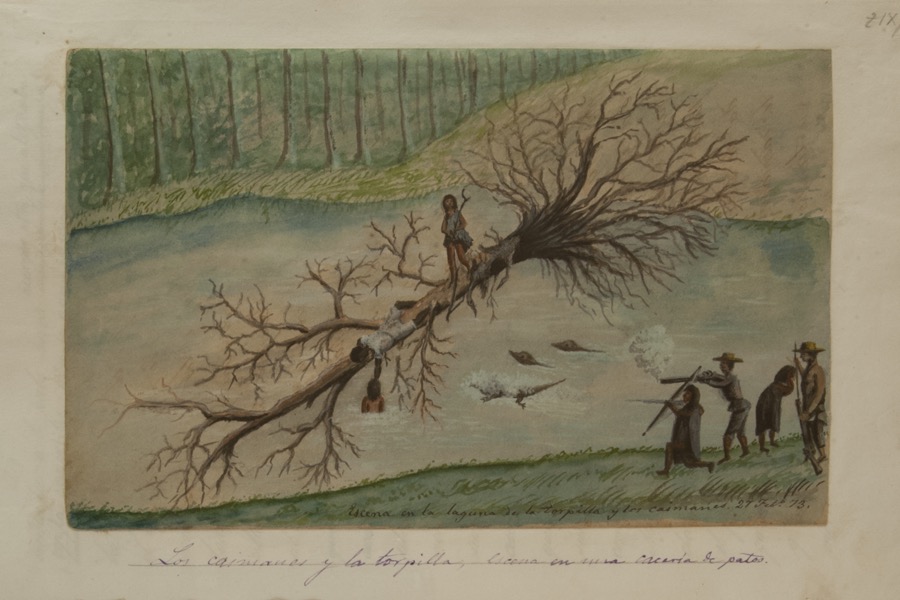 Los caimanes y la torpilla