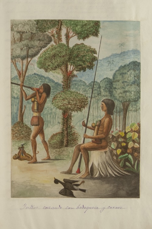 Indios cazando con bodoquera y curare