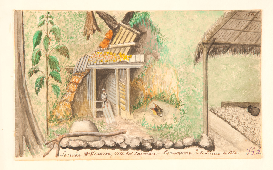 Socavón Williamson, veta del Caimán