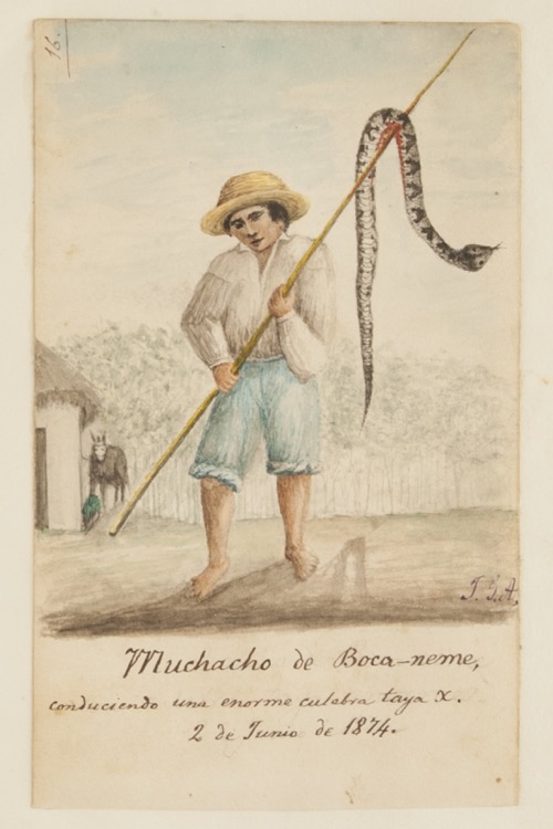 Muchacho de Bocaneme