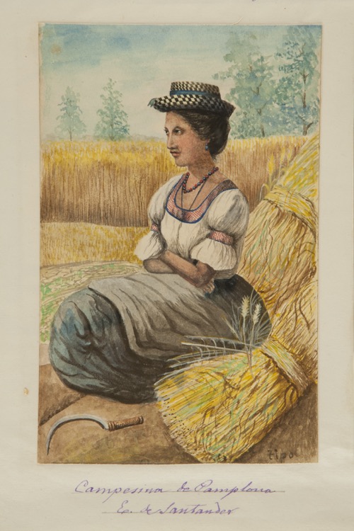 Campesina de Pamplona, Estado de Santander