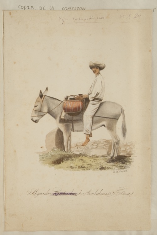 Aguador de Ambalema, Tolima