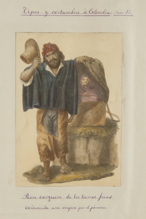 Peón carguero de las tierras frías conduciendo una viajera por el páramo