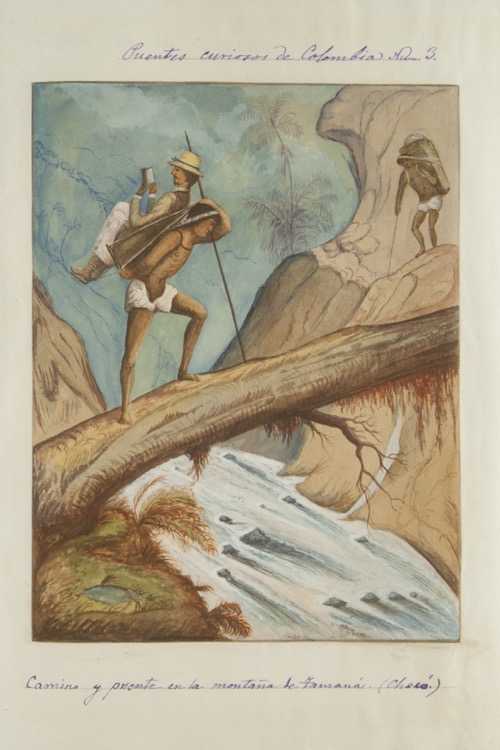 Camino y puente en la montaña de Tamaná (Chocó)