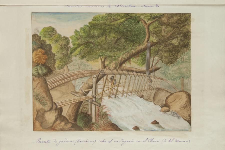 Puente de guaduas (bambúes) sobre el río Ingará en el Chocó (Estado del cauca)