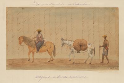 lámina representativa