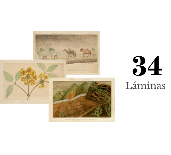 4 departamentos visitados