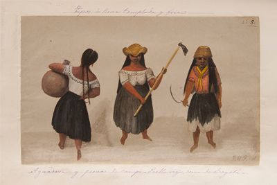 lámina representativa