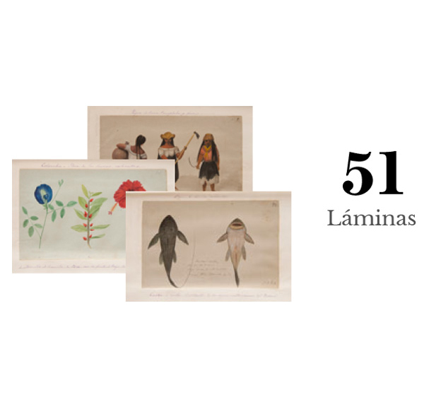 Estadísticas del viaje