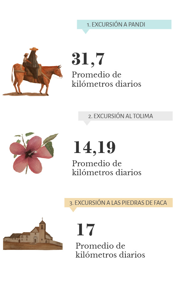 Datos de recorrido