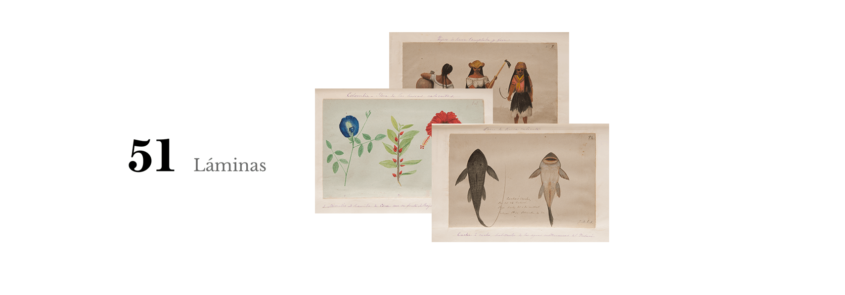 Estadísticas del viaje