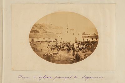 lámina representativa