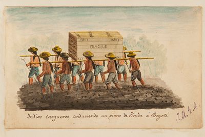 lámina representativa