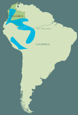 Mapa de los recorridos de Richard Evans Schultes por la Amazonia y Sur América
