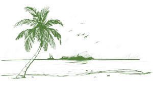 Ilustración: Una palmera en medio de la playa
