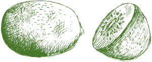 Ilustración: Kiwi (fruta)